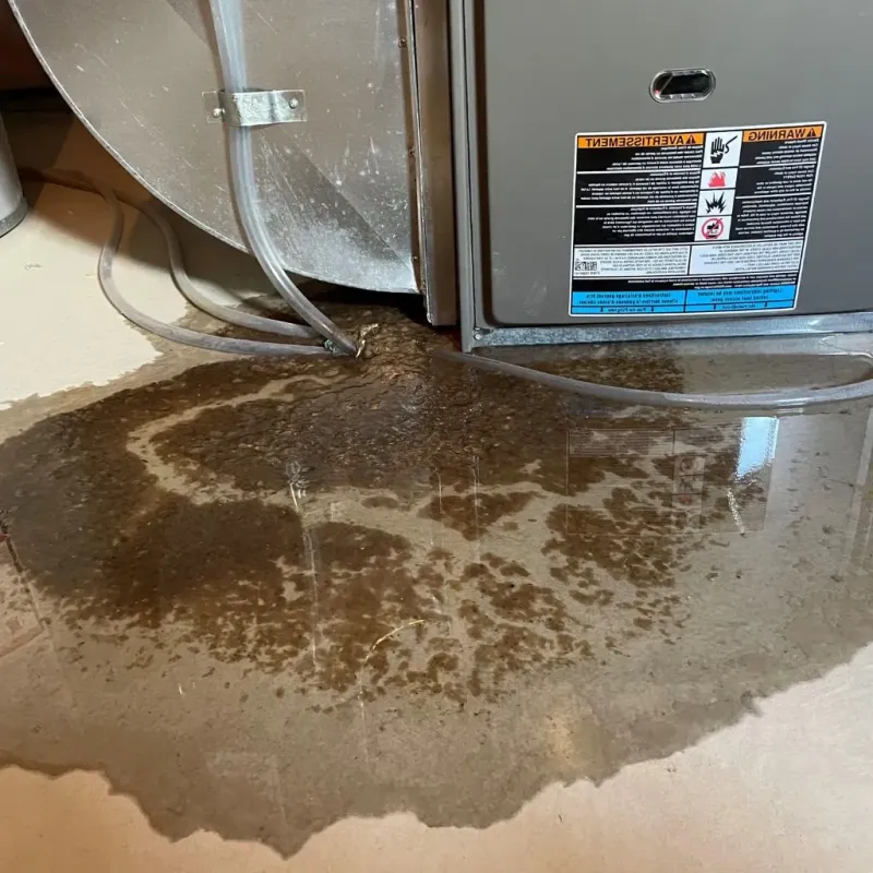Pipe Burst and Leak Restoration in Grant County, OR